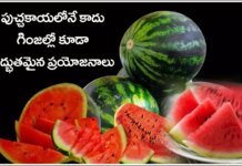 పుచ్చకాయ తిని గింజలు వదిలేస్తున్నారా? వీటి ప్రయోజనాలు ఏంటో తెలిస్తే ఆశ్చర్యపోతారు!